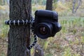 Professional camera hanging on flexible tripod on tree, blurred