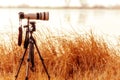 Professional camera with telephoto lens on a tripod during lands Royalty Free Stock Photo