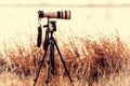 Professional camera with telephoto lens on a tripod Royalty Free Stock Photo