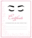 Professional certificate modeling and correction of eyebrows. Diploma eyelash extensions