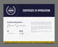 Professional certificate. Template diploma with luxury and modern pattern background. Achievement certificate Royalty Free Stock Photo