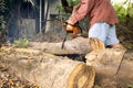 Professional chainsaw blade cutting log of wood Royalty Free Stock Photo