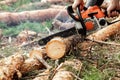 Professional chainsaw close up, logging. Cutting down trees, forest destruction. The concept of industrial destruction of trees, Royalty Free Stock Photo