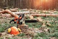 Professional chainsaw close up, logging. Cutting down trees, forest destruction. The concept of industrial destruction of trees, Royalty Free Stock Photo