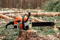 Professional chainsaw close up, logging. Cutting down trees, forest destruction. The concept of industrial destruction of trees, Royalty Free Stock Photo