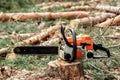 Professional chainsaw close up, logging. Cutting down trees, forest destruction. The concept of industrial destruction of trees, Royalty Free Stock Photo