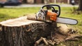 A Professional Chainsaw Makes Its Mark on a Fallen Walnut Giant. Generative AI