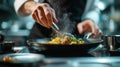 Professional chef meticulously plating a gourmet dish with precision and care. Royalty Free Stock Photo