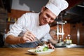 Professional Chef Plating Gourmet Dish Royalty Free Stock Photo