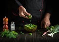 Professional chef prepares food from fresh vegetables in the kitchen. Lettuce salad prepared by the cook hands. Vegetarian cuisine Royalty Free Stock Photo