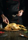 Professional chef prepares raw cock in the kitchen. The cook adds paprika to the rooster before frying. Preparing to cook southern Royalty Free Stock Photo