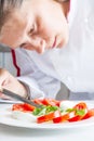 Professional chef preparing dish with tomatoes and mozzarella Royalty Free Stock Photo