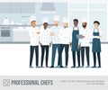 Professional chefs in the kitchen Royalty Free Stock Photo