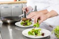 Professional chefs prepares steak dishes at restaurant Royalty Free Stock Photo