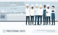 Professional chefs in the kitchen Royalty Free Stock Photo