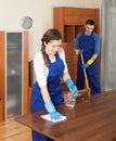 Professional cleaners cleaning furniture