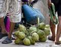 Professional climber on coconut treegathering