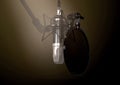 Dramatic Condenser Microphone