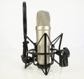 A professional condenser microphone for audio usage including a pop filter