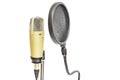 Professional condenser microphone with pop filter