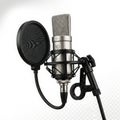 Professional condenser microphone with pop filter and shock mount Royalty Free Stock Photo