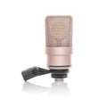 Professional condenser microphoneisolated on white. Royalty Free Stock Photo