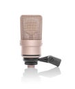 Professional condenser microphoneisolated on white. Royalty Free Stock Photo