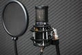 Professional condenser studio microphone.