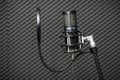 Professional condenser studio microphone.