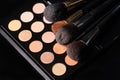 professional cosmetics for make up