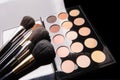 professional cosmetics for make up