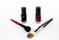 Professional cosmetics nail polish and makeup brushes