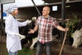 Professional cowman and doctor talking in livestock barn Royalty Free Stock Photo