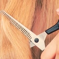 Close up detail. Special scissors cutting hair.