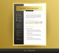 Professional CV / resume template in black and gold colors - vector design