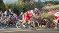 Professional cyclist in a corner at full speed Royalty Free Stock Photo