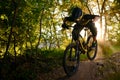 Professional Cyclist Riding the Mountain Bike on the Autumn Forest Trail. Extreme Sport and Enduro Cycling Concept. Royalty Free Stock Photo