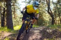 Professional Cyclist in Yellow T-shirt and Helmet Riding the Bike in Forest. Extreme Sport Concept. Royalty Free Stock Photo
