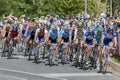 Professional cyclists race down Rundle Street during the Tour Down Under Classic in Adelaide, South Australia.