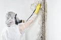 A professional disinfector in overalls processes the walls from mold. Removal of black fungus in the apartment and house. Aspergil Royalty Free Stock Photo