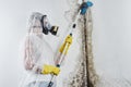 A professional disinfector in overalls processes the walls from mold with a brush. Removal of black fungus in the apartment and ho