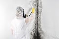 A professional disinfector in overalls processes the walls from mold. Removal of black fungus in the apartment and house. Aspergil