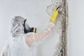 A professional disinfector in overalls processes the walls from mold. Removal of black fungus in the apartment and house. Aspergil