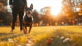 Professional dog behaviorist guides a Doberman in a sunny park, showcasing training techniques during an afternoon Royalty Free Stock Photo