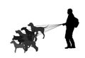 Professional dog walker man on street with many dogs on leash vector silhouette.