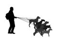 Professional dog walker man on street with many dogs on leash vector silhouette. Walking the pack/array of dogs illustration.