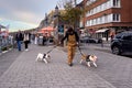 Professional dog walker taking dogs for a walk in Dinant