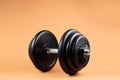 Professional dumbbell and weight plates over beige background. Black metal dumbbell with chrome silver handle. Gym Royalty Free Stock Photo