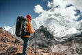 Professional expeditor with trekking sticks and traveling backpack going by mountains track Royalty Free Stock Photo