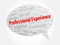 Professional experience message bubble word cloud collage, business concept background Royalty Free Stock Photo